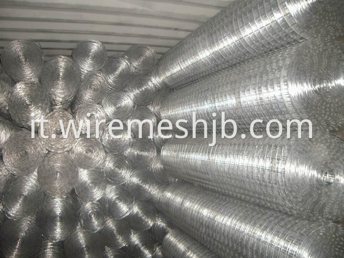 Galvanized Welded Wire